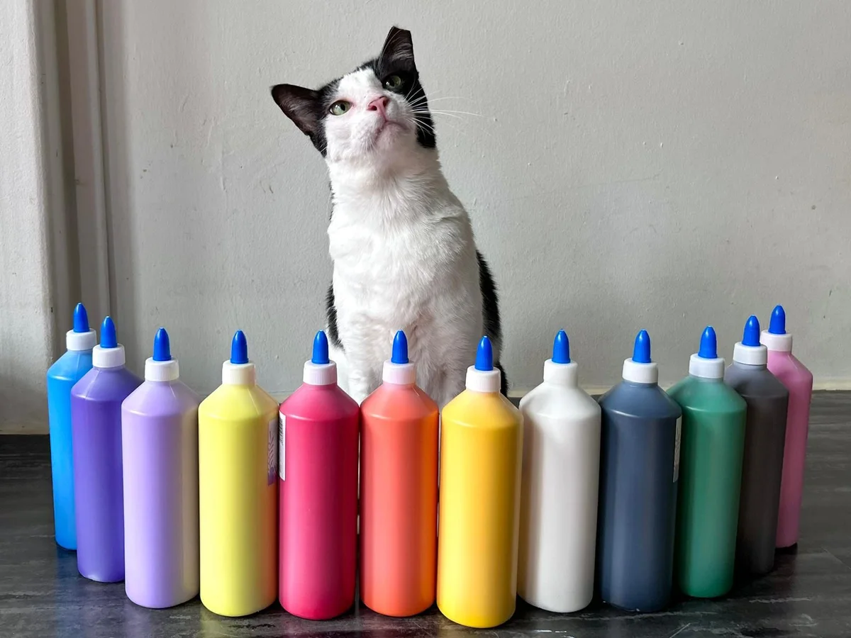 A black-and-white cat behind art materials, photographed by Catopia Cafe
