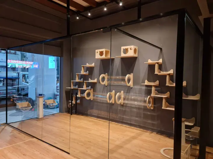 Photo published by Ryokan Genetique Cat Hotel on its official website